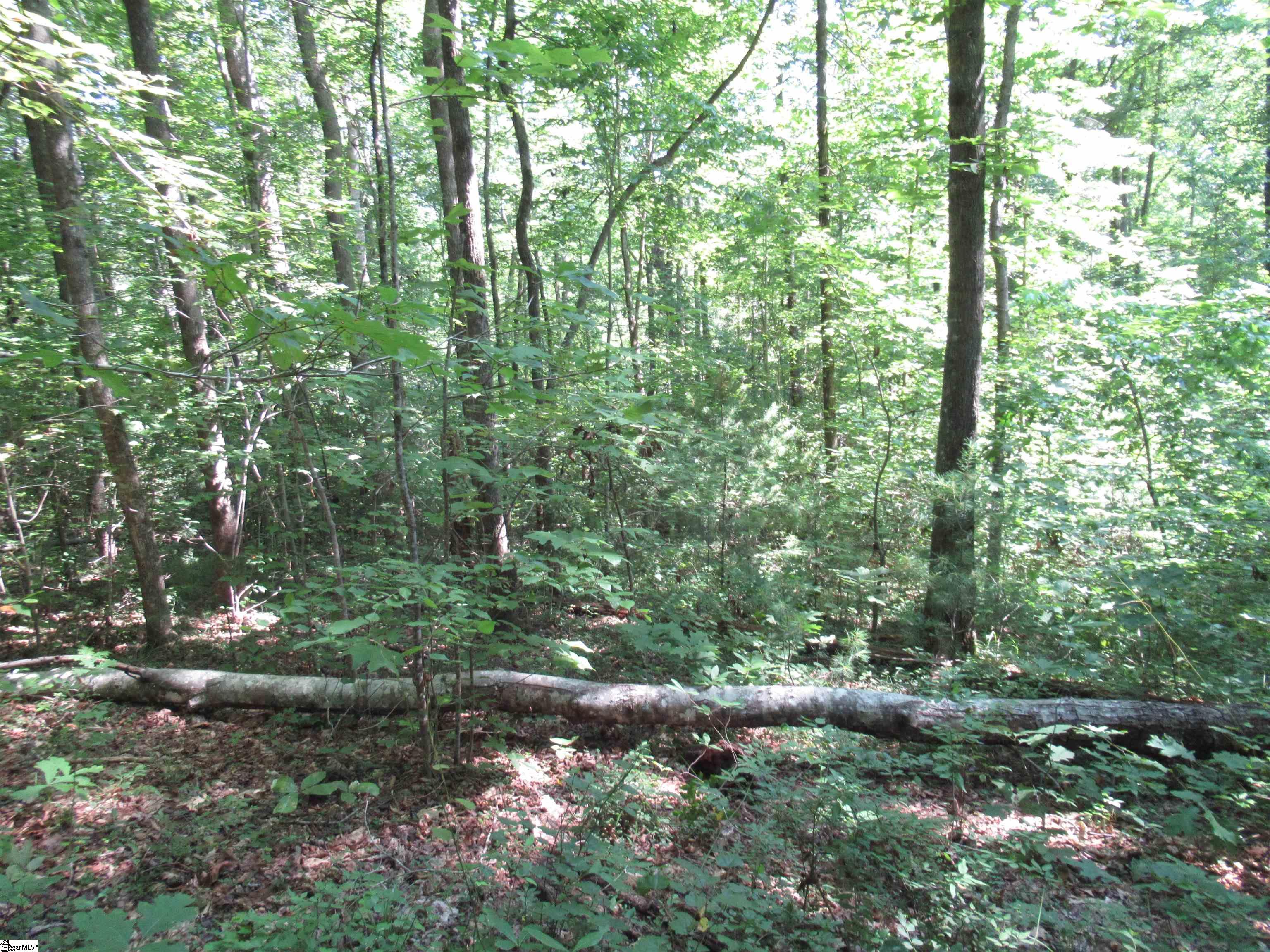 0 Gauley Falls Road, Unit LOT 13 GAULEY FALLS Pickens, SC 29671 - Photo 6 of 36