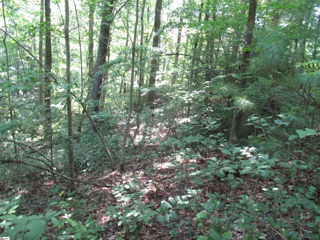 $25,000 | 0 Gauley Falls Road, Unit LOT 13 GAULEY FALLS, Pickens, SC 29671