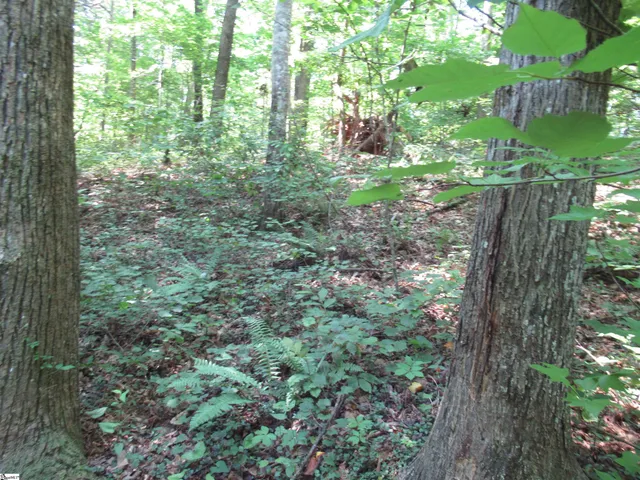 $25,000 | 0 Gauley Falls Road, Unit LOT 13 GAULEY FALLS, Pickens, SC 29671