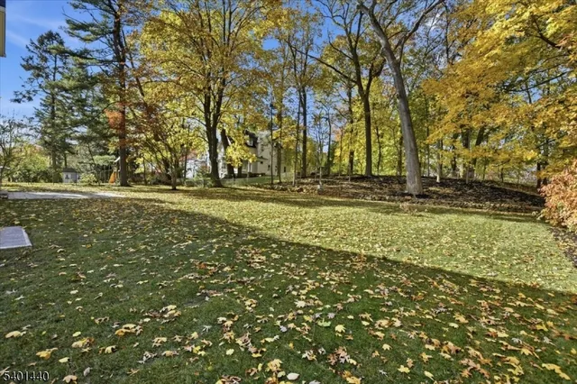 a view of a yard with yellow trees