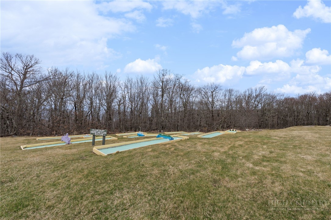 301 Pinnacle Inn Road, Unit 1313 Beech Mountain, NC 28604 - Photo 24 of 24