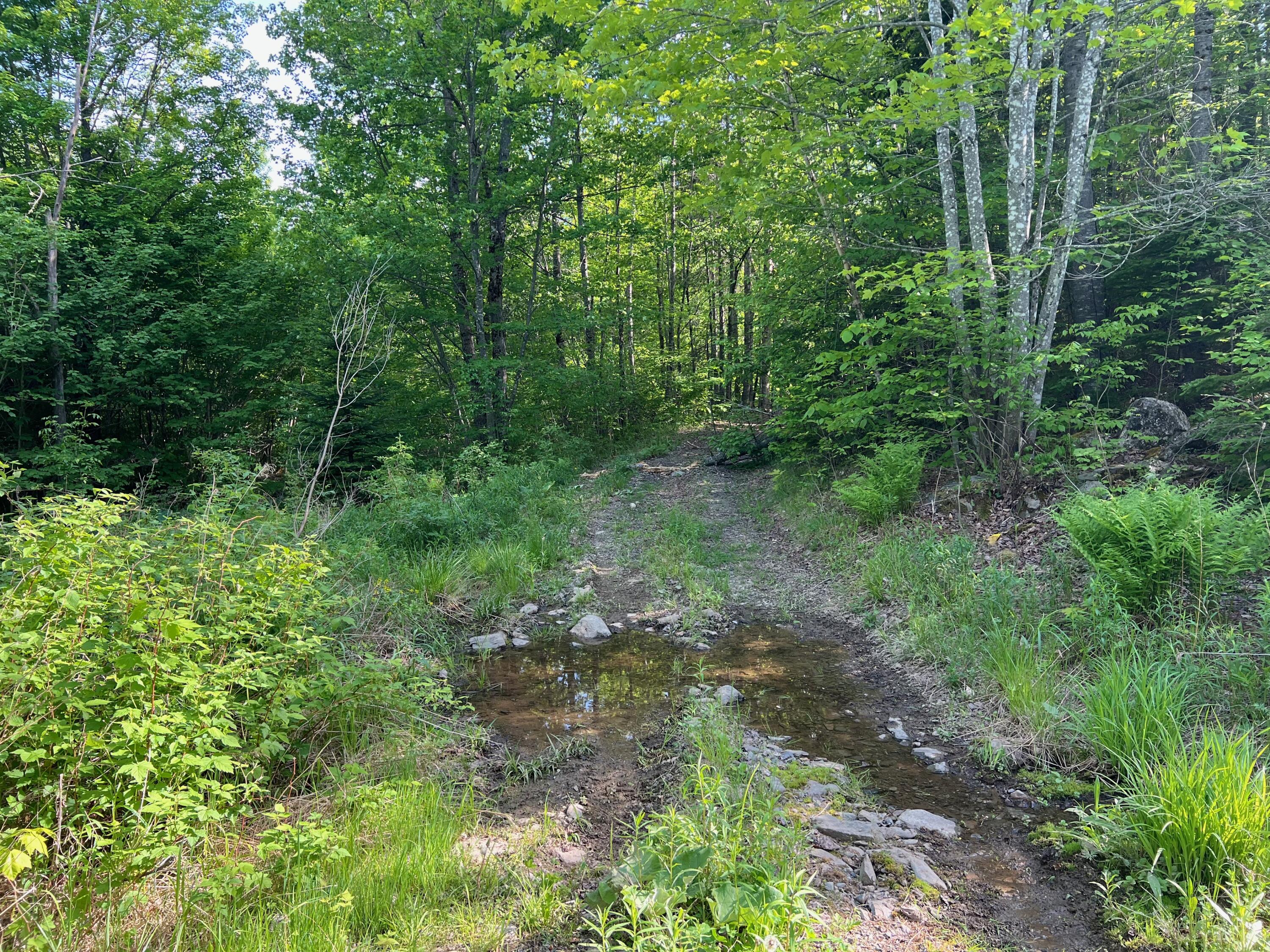 60 Hutchinson Road Linneus, ME 04730 - Photo 15 of 20 IMG_4281