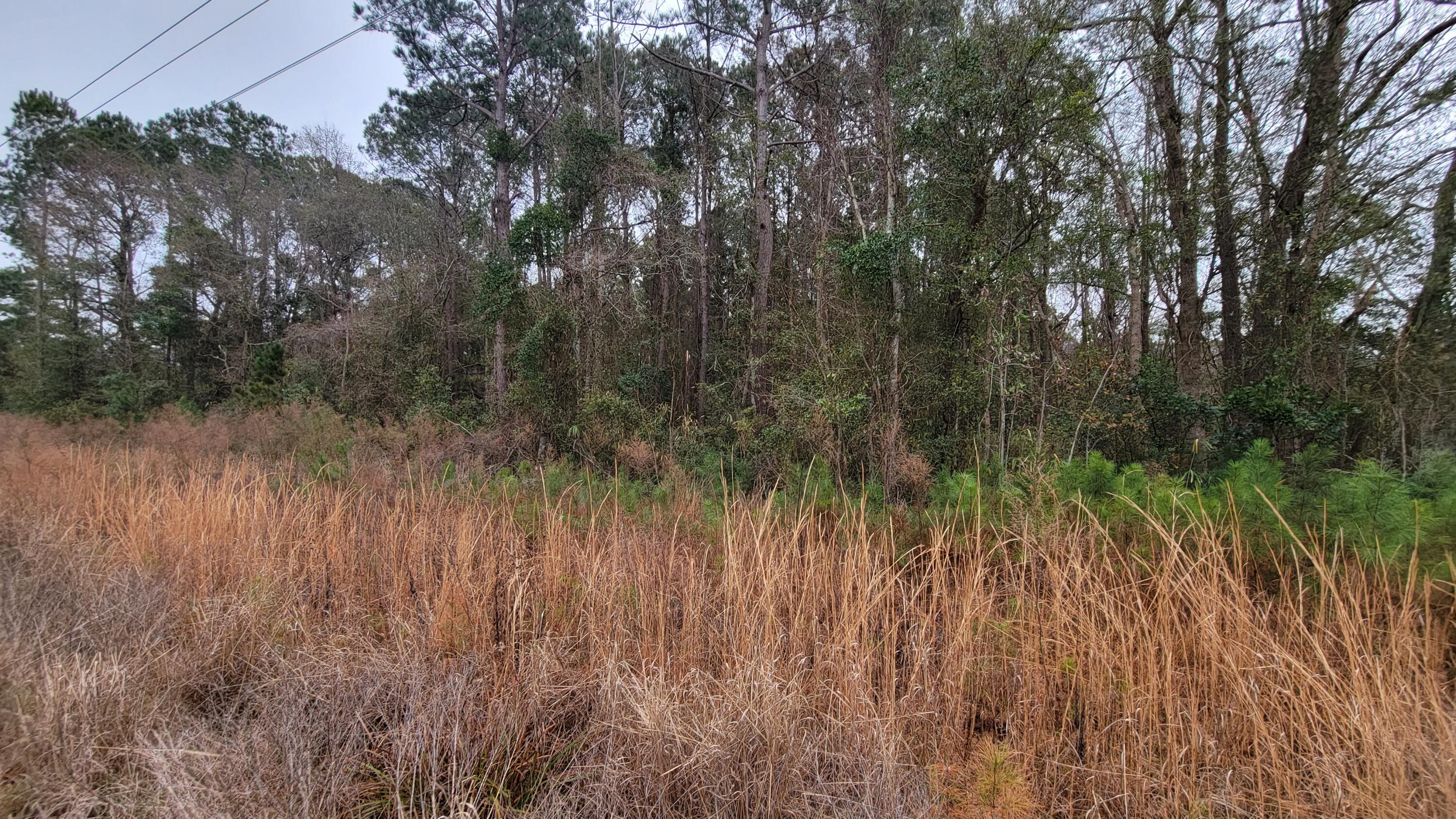 9315 Highway 17 McClellanville, SC 29458 - Photo 2 of 7 Frontage 3