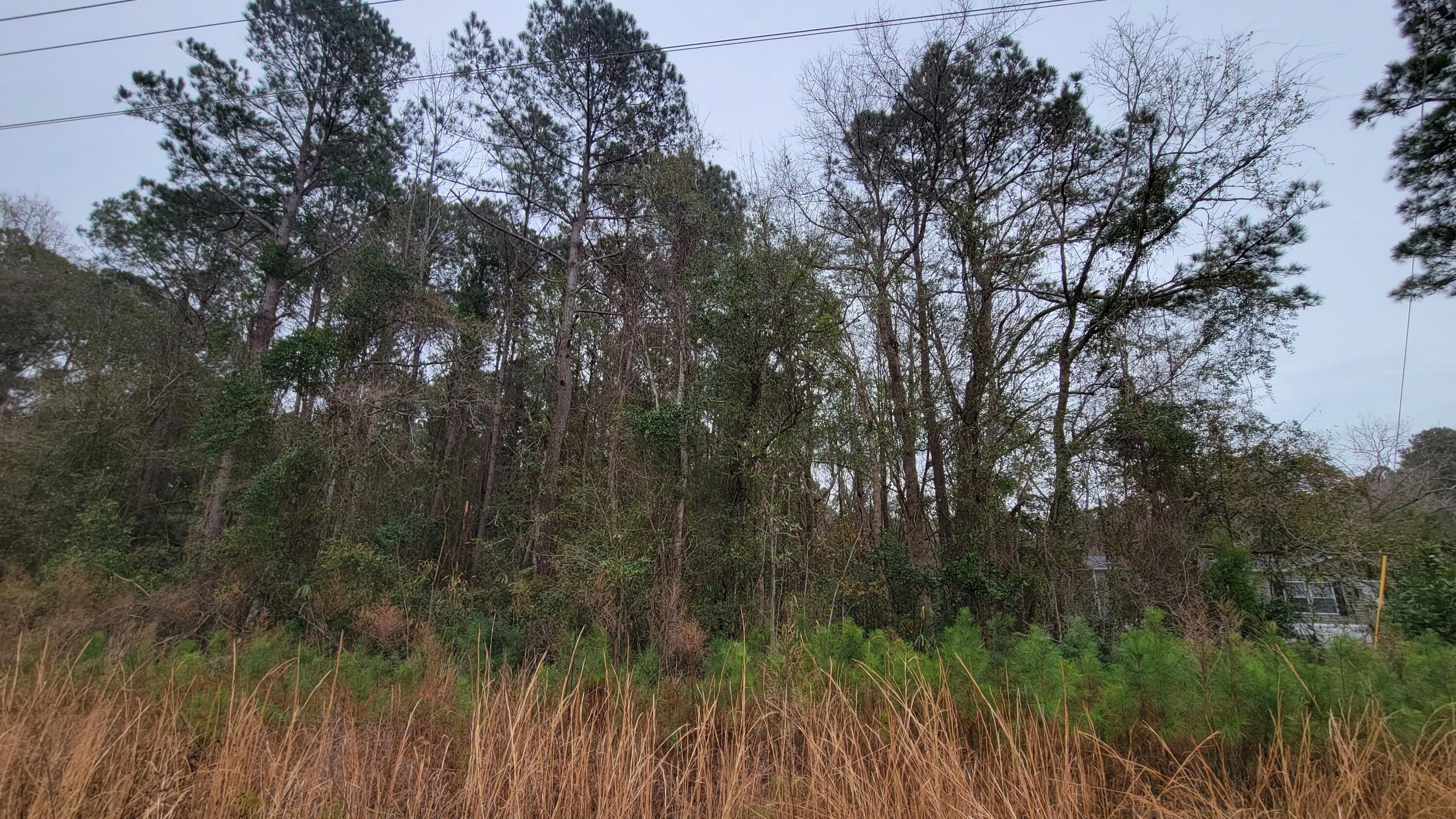 9315 Highway 17 McClellanville, SC 29458 - Photo 3 of 7 Frontage 2