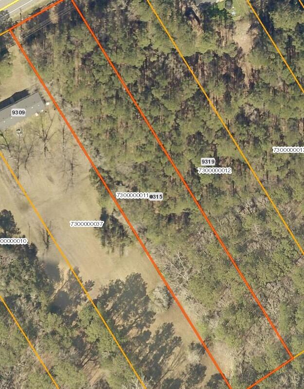 9315 Highway 17 McClellanville, SC 29458 - Photo 7 of 7 Aerial 2