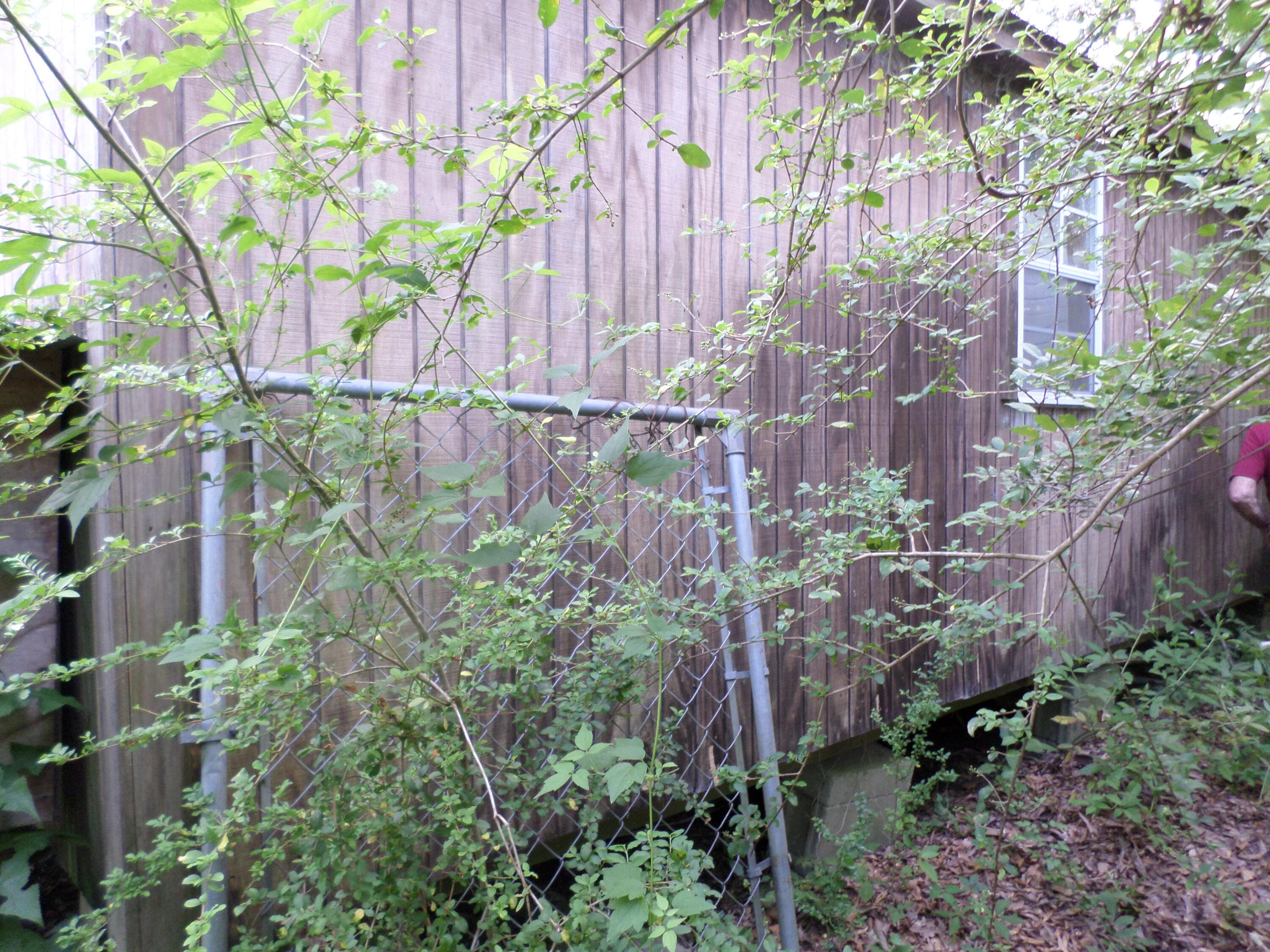1671 Bonner Road Heidelberg, MS 39439 - Photo 12 of 81 Gallery Image 12