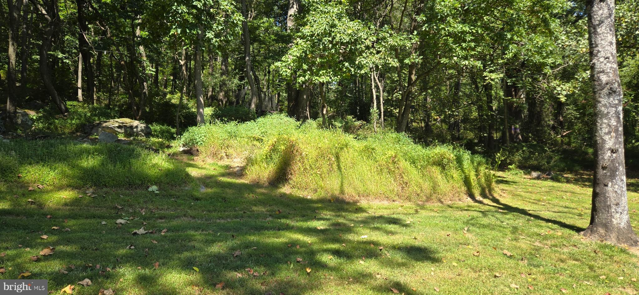 15215 Charmian Road Blue Ridge Summit, PA 17214 - Photo 13 of 71