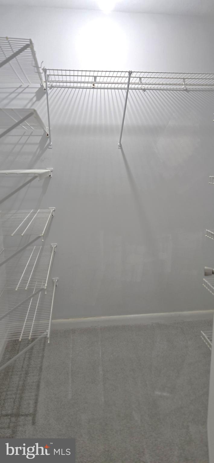 15215 Charmian Road Blue Ridge Summit, PA 17214 - Photo 37 of 71 Primary Bedroom Walk-in Closet