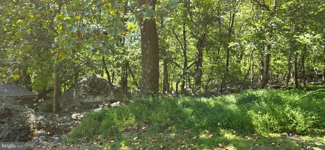 a view of swimming pool