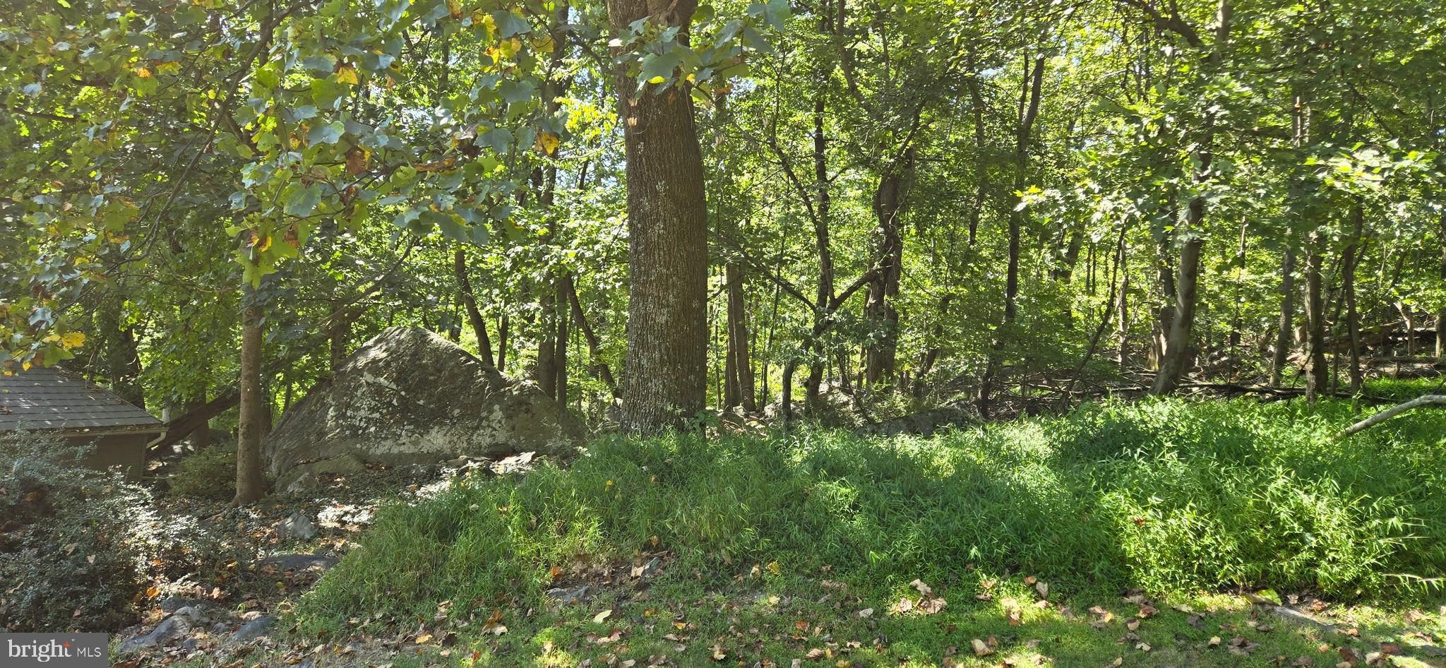 15215 Charmian Road Blue Ridge Summit, PA 17214 - Photo 10 of 71