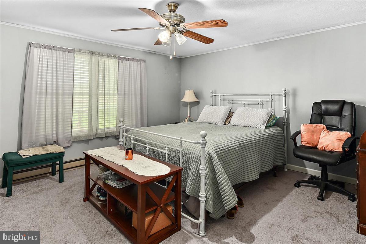 21516 Shell Station Road Frankford, DE 19945 - Photo 11 of 28 Master Bedroom