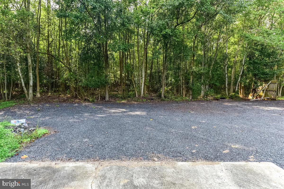 21516 Shell Station Road Frankford, DE 19945 - Photo 26 of 28 Property Surrounded by Woods