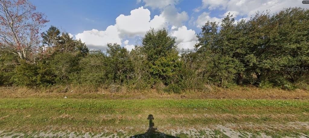 1025 Dill Road Christmas, FL 32709 - Photo 3 of 3 a view of a field of grass and trees