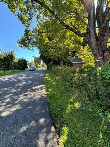a view of a yard with plants and trees