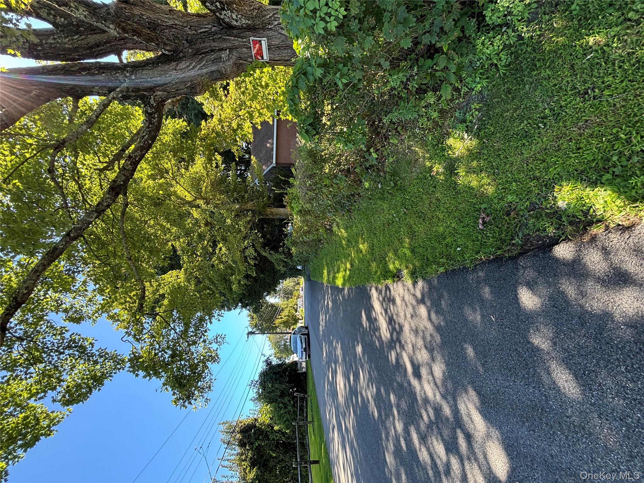 4 Lottie Road Carmel, NY 10512 - Photo 13 of 16 a view of a yard with plants and trees