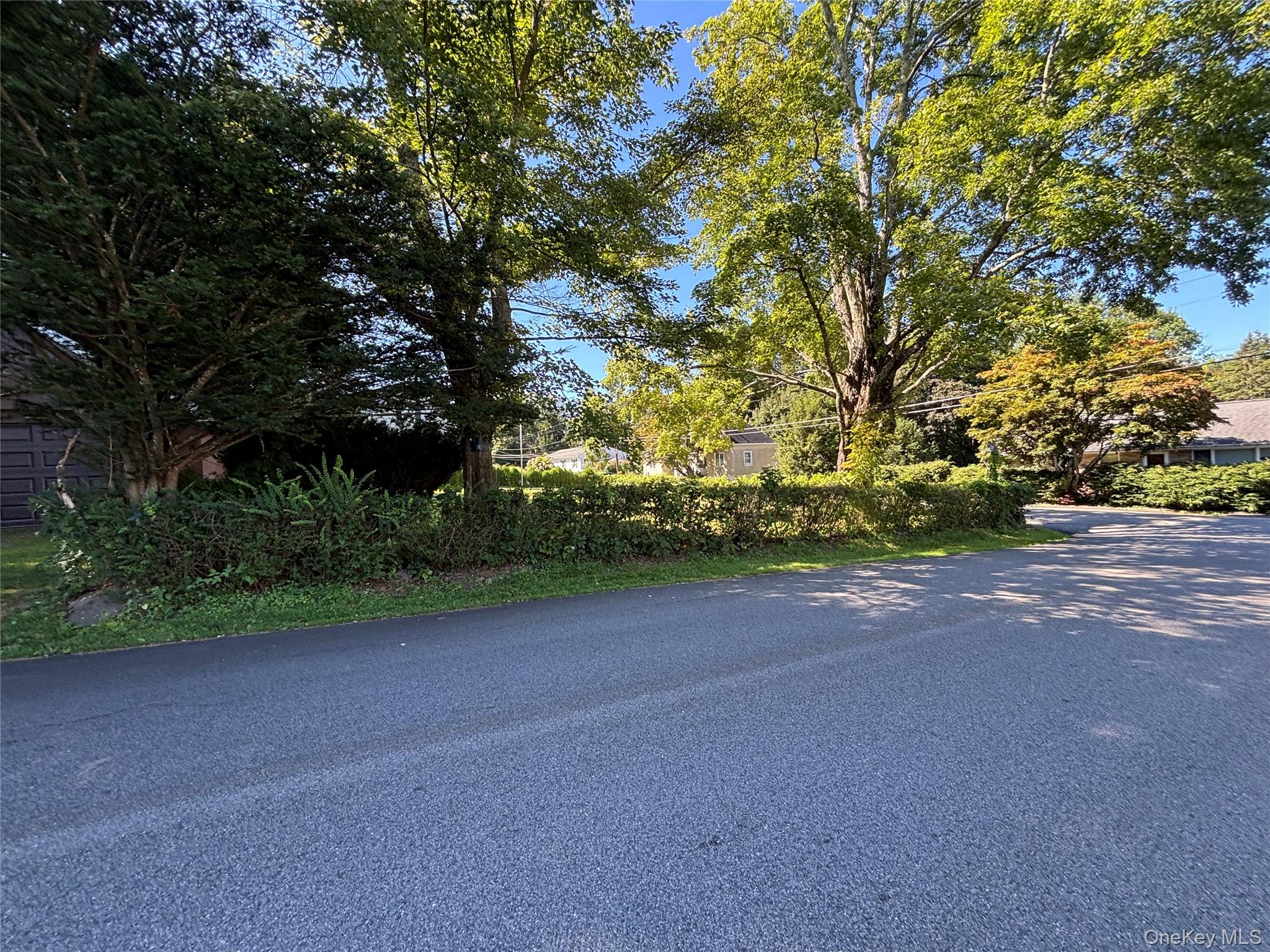 4 Lottie Road Carmel, NY 10512 - Photo 14 of 16 a view of a field with trees