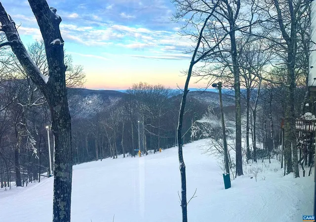 a backyard of a house with a tree