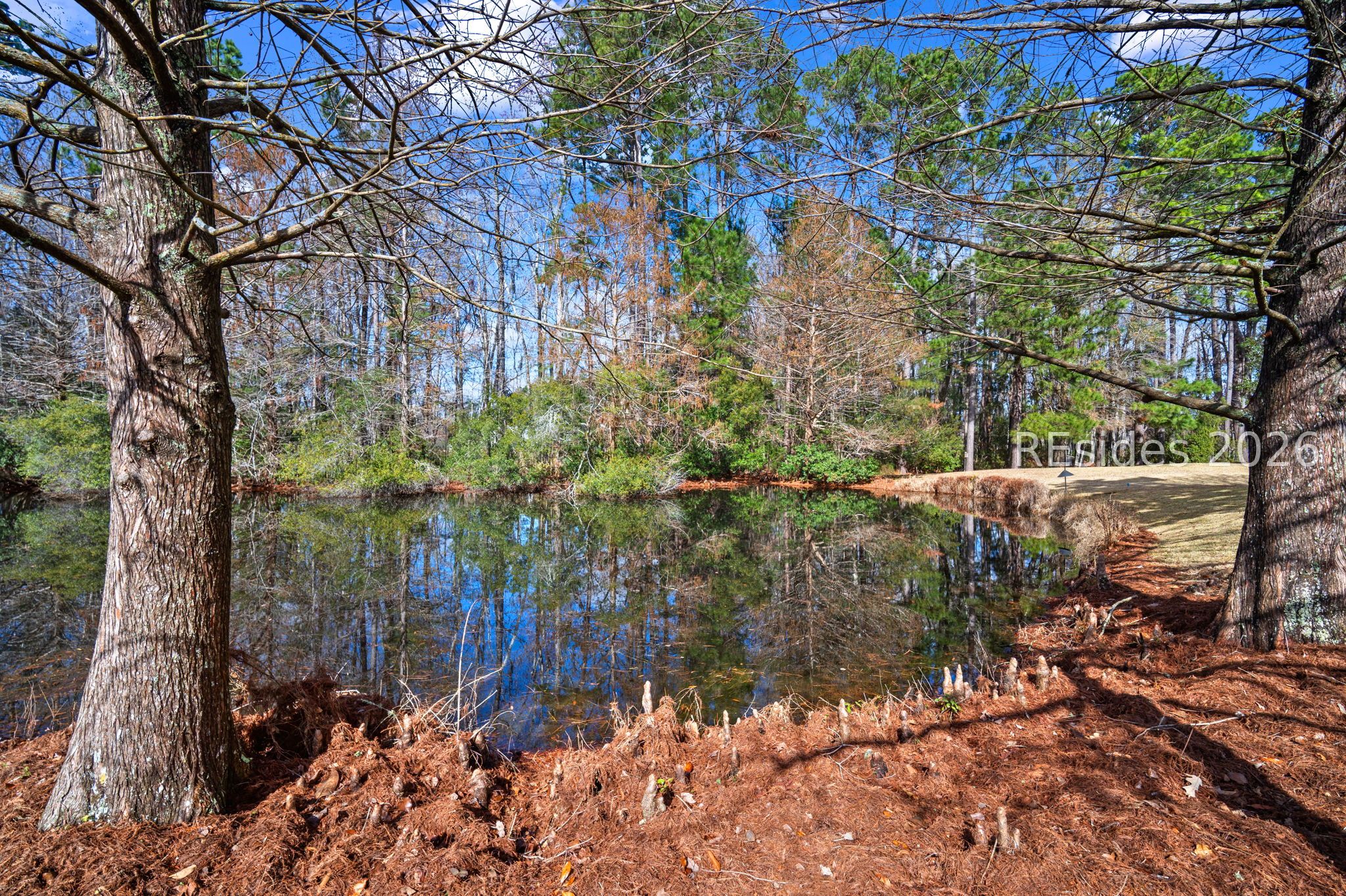 546 Colonel Thomas Heyward Road Bluffton, SC 29909 - Photo 29 of 35