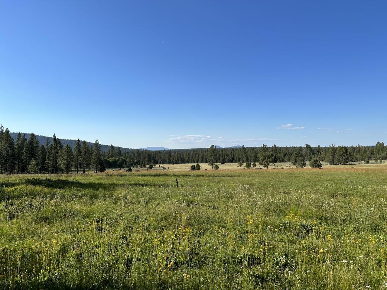 5817 Nka Blm Road Chiloquin, OR 97624 - Photo 2 of 5 IMG_1652