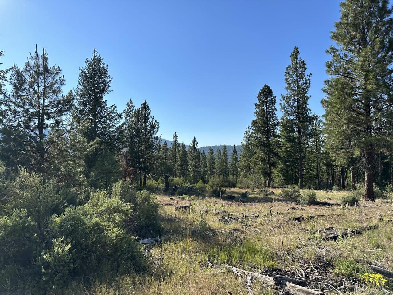 5817 Nka Blm Road Chiloquin, OR 97624 - Photo 5 of 5 IMG_1647