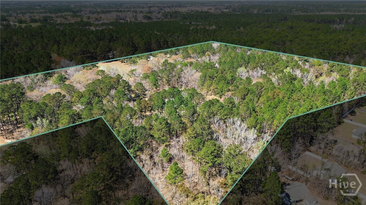 560 Log Landing Road Springfield, GA 31329 - Photo 51 of 51