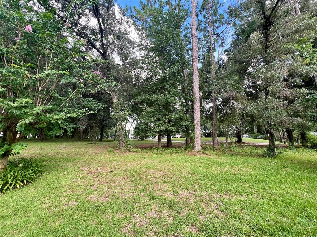 11097 Southwest 69th Circle Ocala, FL 34476 - Photo 15 of 16 a backyard of a house with lots of green space and fountain