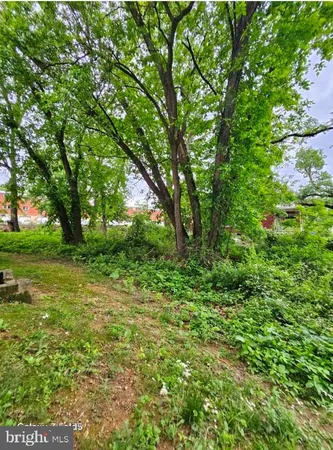 a view of outdoor space with trees all around