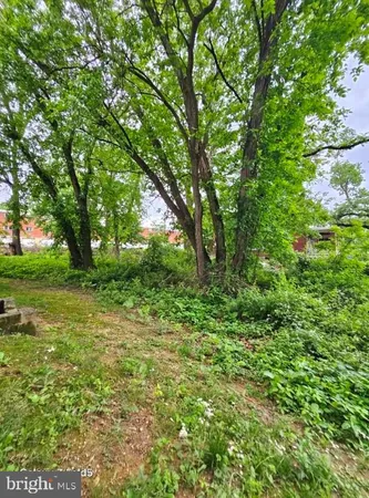 a view of outdoor space with deck and yard