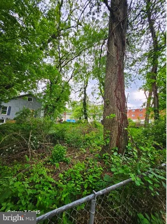a view of a garden with a tree