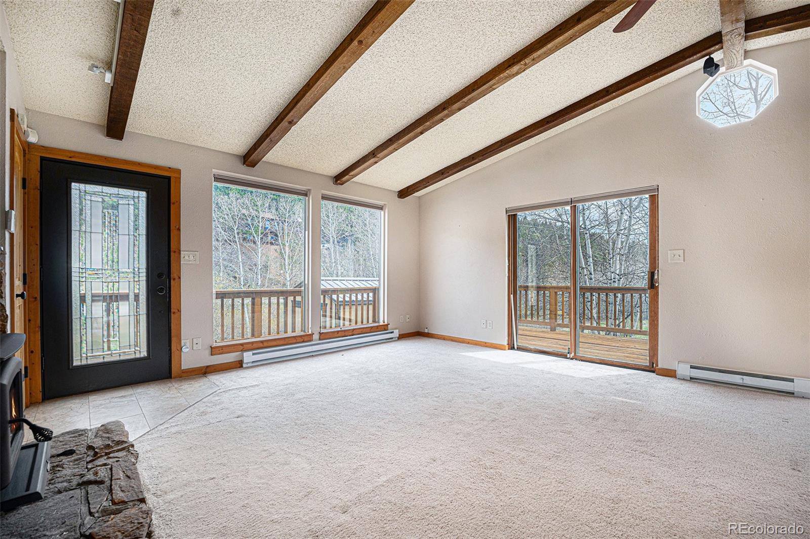 70 Silver Springs Road Bailey, CO 80421 - Photo 3 of 21 Gallery Image 3