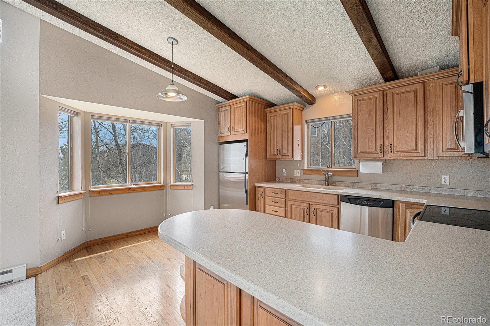 70 Silver Springs Road Bailey, CO 80421 - Photo 8 of 21 Gallery Image 8