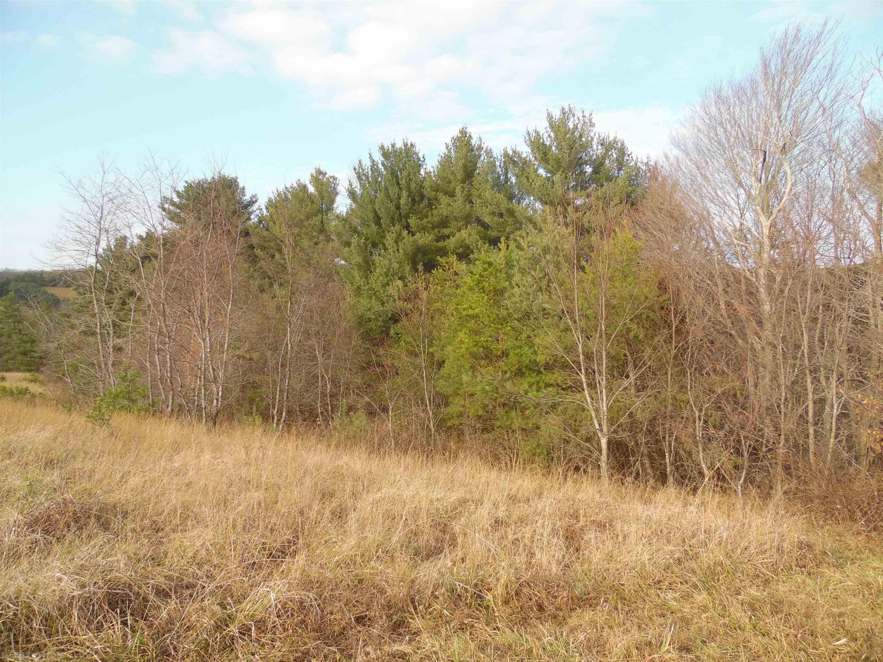 Tbd Stonewall Road Northeast Check, VA 24072 - Photo 29 of 35 Gallery Image 29