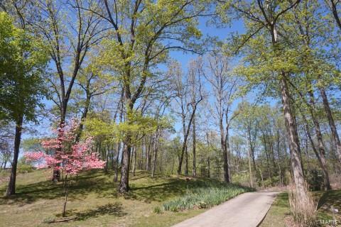 3005 Terpening Road Alton, IL 62002 - Photo 10 of 94