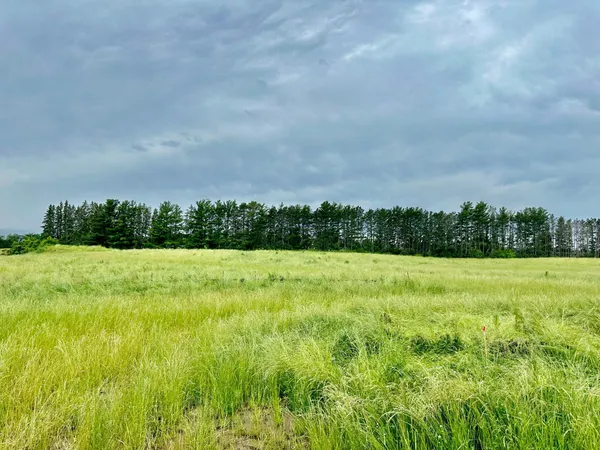 $799,900 | 2535 Pioneer Trail, Medina, MN 55340