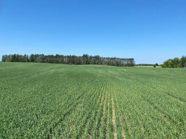 $799,900 | 2535 Pioneer Trail, Medina, MN 55340