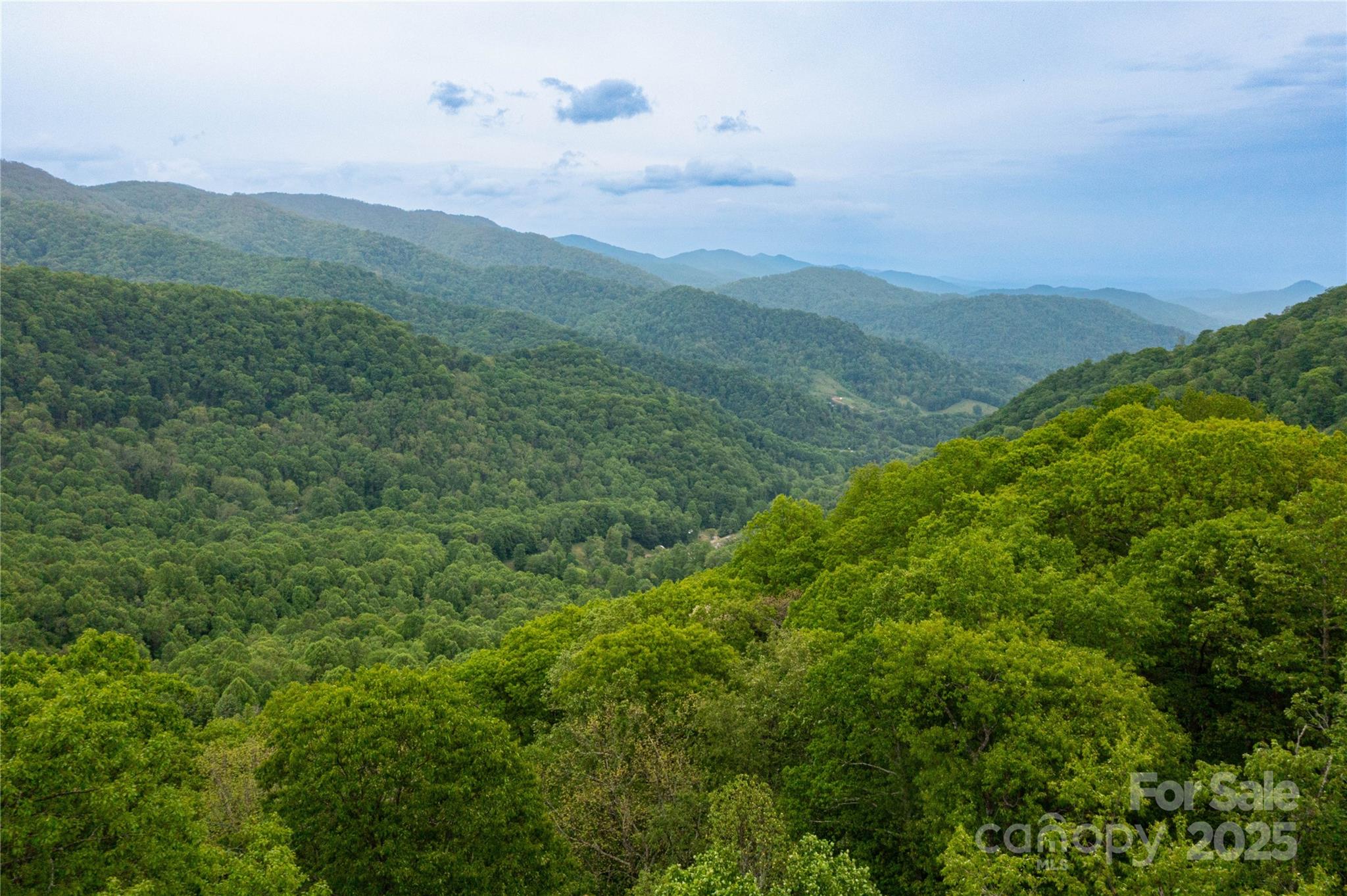 999 Mount Soma Boulevard Clyde, NC 28721 - Photo 10 of 10 a view of a mountain range with lush green forest