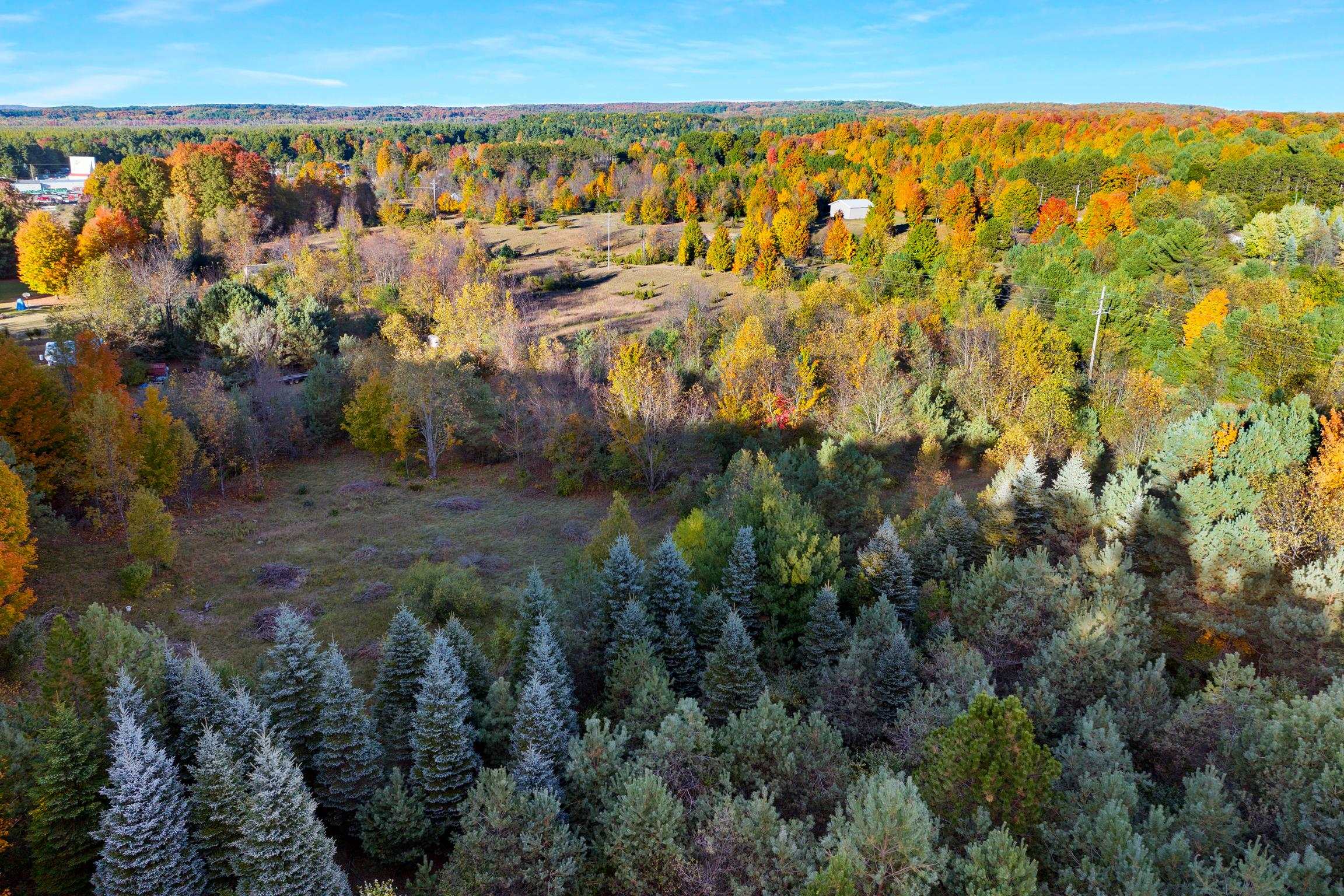 9874 Covey Road Beulah, MI 49617 - Photo 5 of 13