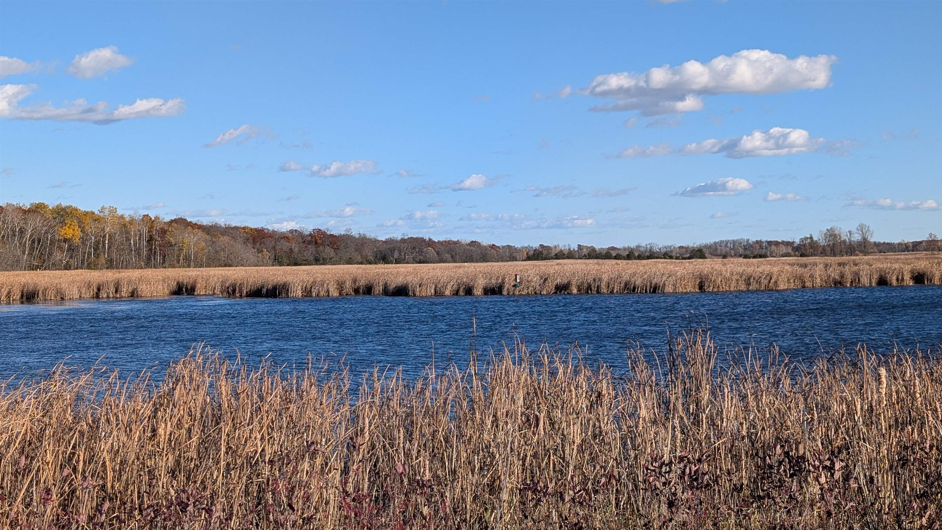 L16 Oak Markesan, WI 53946 - Photo 12 of 14