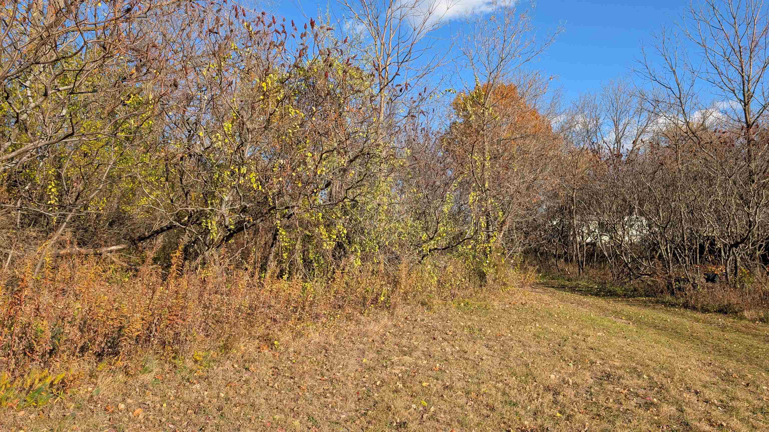 L16 Oak Markesan, WI 53946 - Photo 2 of 14