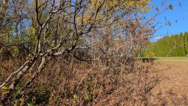 $25,000 | L16 Oak, Markesan, WI 53946