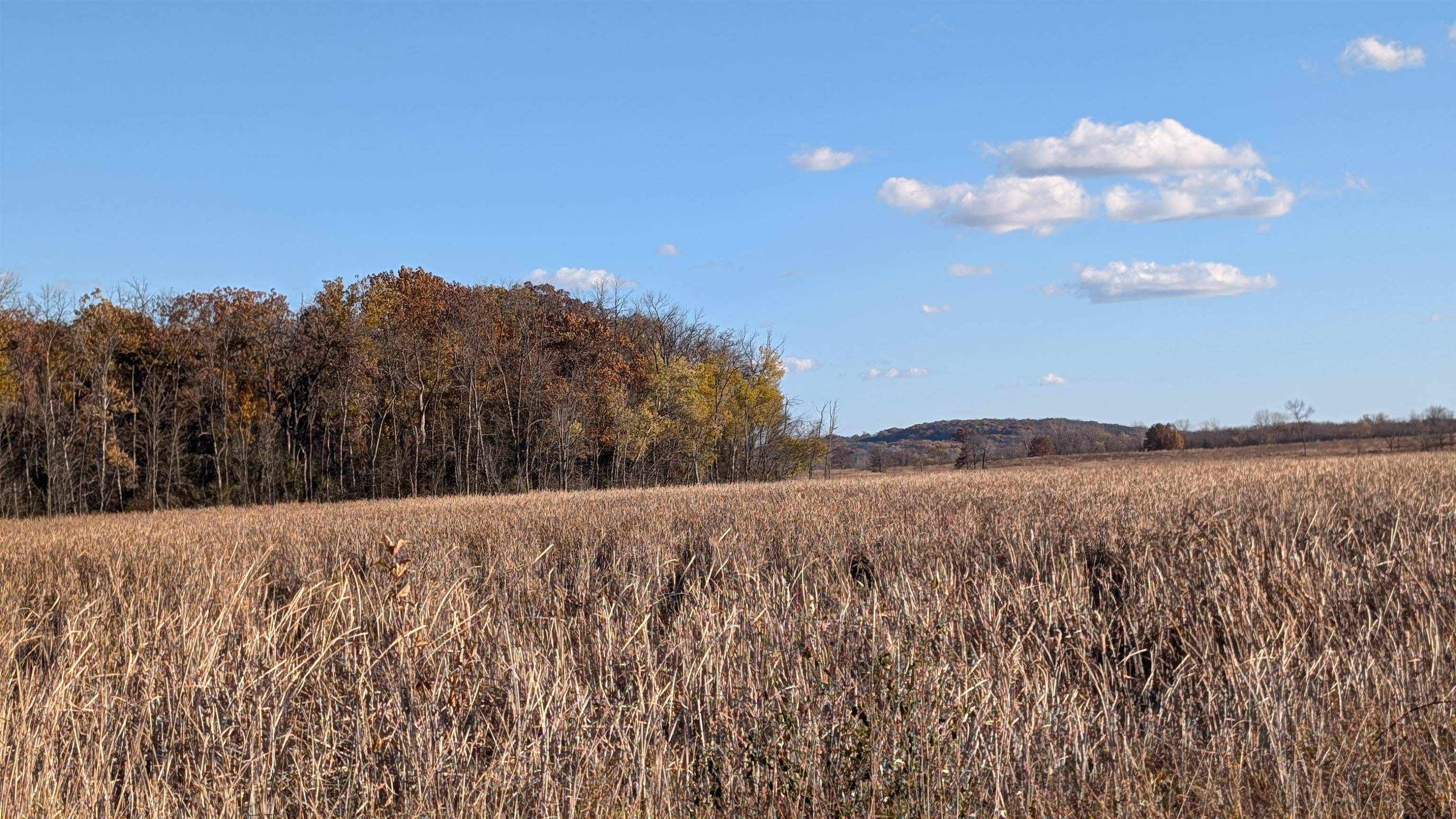 L16 Oak Markesan, WI 53946 - Photo 10 of 14