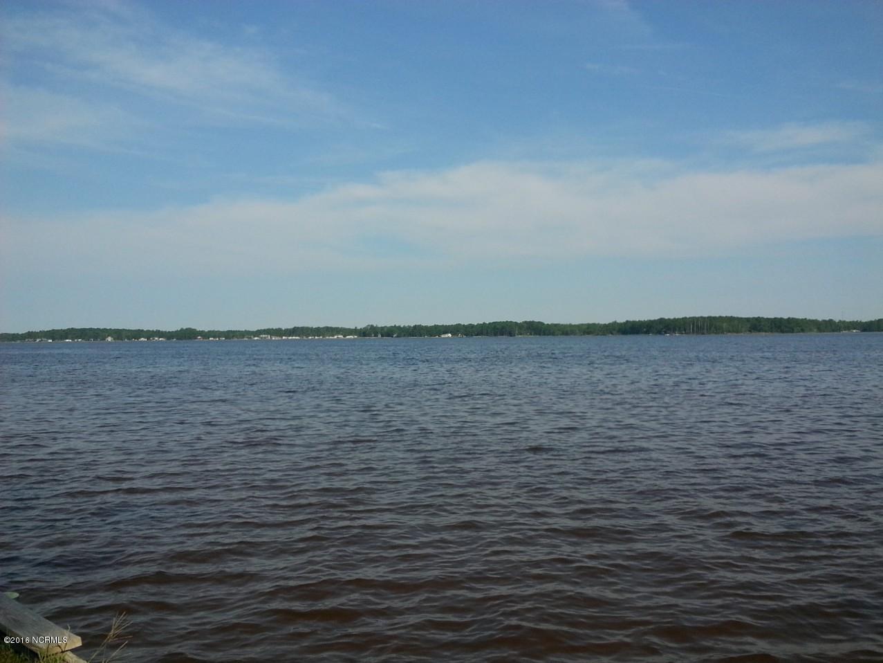 568 Bay Shores Road Merritt, NC 28556 - Photo 2 of 13 This is your View.....