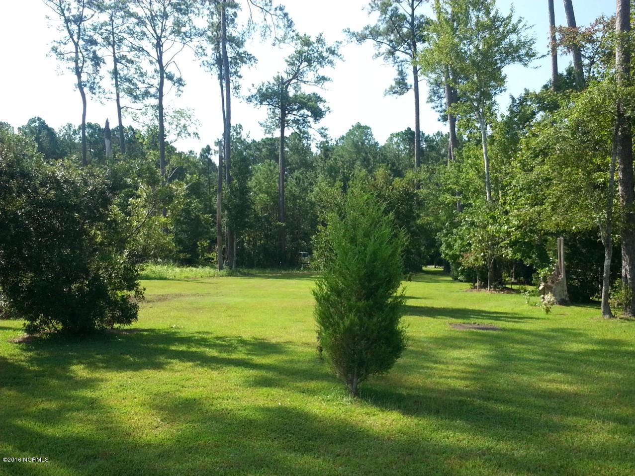 568 Bay Shores Road Merritt, NC 28556 - Photo 6 of 13 Building Site from Water