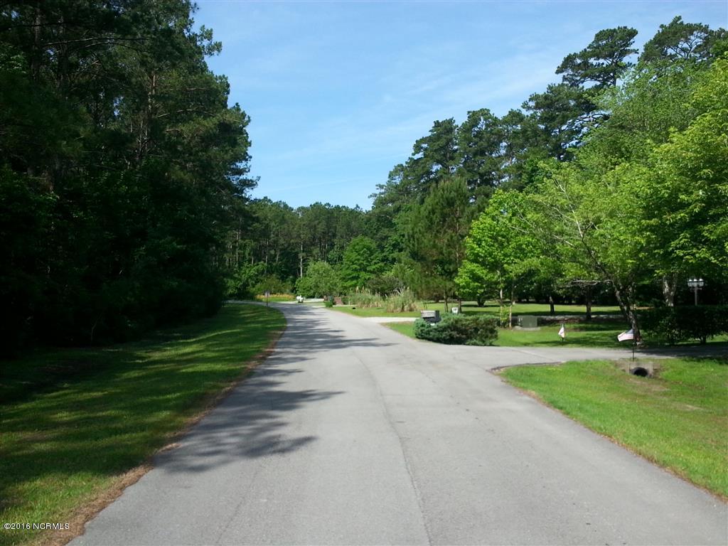 568 Bay Shores Road Merritt, NC 28556 - Photo 9 of 13 Street Left