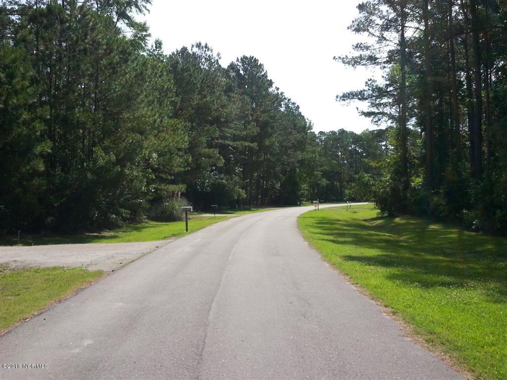 568 Bay Shores Road Merritt, NC 28556 - Photo 10 of 13 Street Right