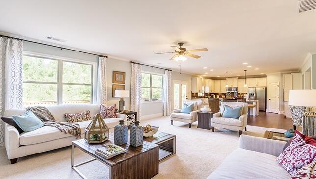 2210 David Green Road Mount Pleasant, SC 29466 - Photo 35 of 37 Westerly Furnished Interior (6)