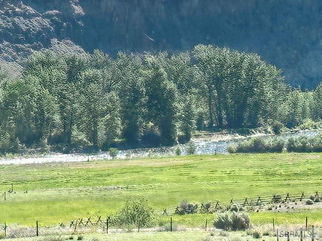 5 Homestead Trail Challis, ID 83226 - Photo 6 of 23