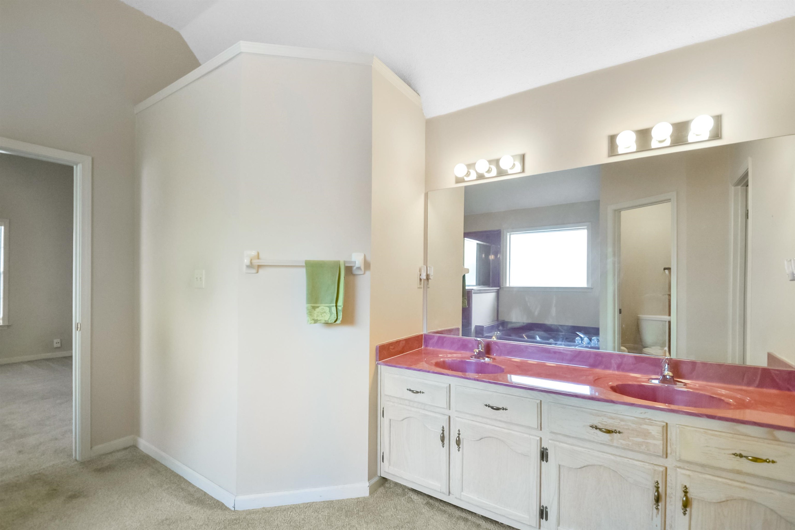 1441 Milestone Circle Collierville, TN 38017 - Photo 14 of 27 a bathroom with a sink vanity and mirror