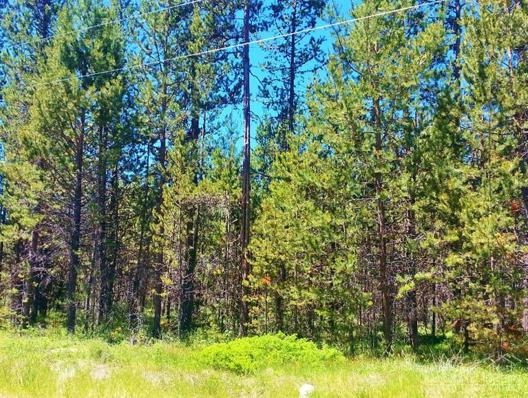 56277 Eider Road Bend, OR 97707 - Photo 2 of 8 Additional Photo