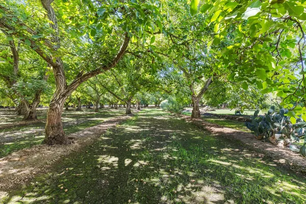 $897,000 | 609 Meyers Avenue, Gridley, CA 95948